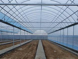 蔬菜大棚-溫室蔬菜大棚-日光溫室蔬菜大棚