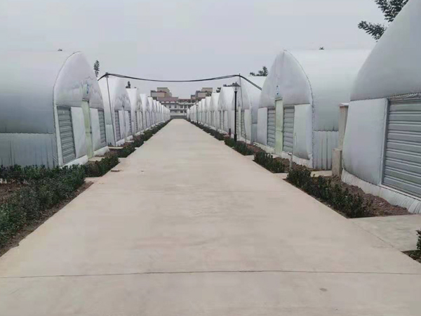 保鮮庫大棚-鋼架大棚冷庫