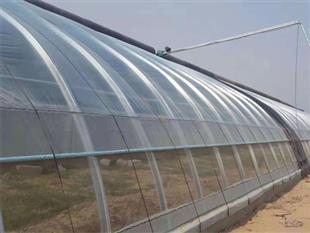 食用菌大棚建設