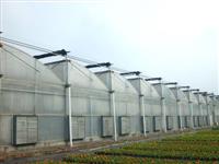 鋸齒型連棟大棚-薄膜連棟大棚-鋸齒形溫室大棚