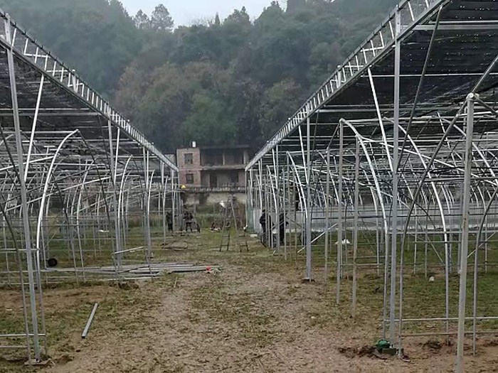 湖南遠鴻<strong>食用菌大棚</strong>案例