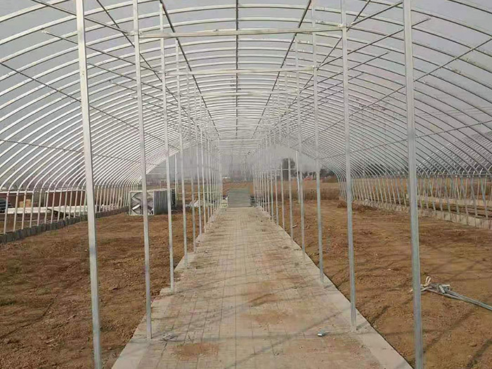 平頂山<strong>香菇大棚</strong>安裝現場