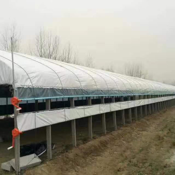 河北匯蕈溫室<strong>養殖大棚</strong>案例
