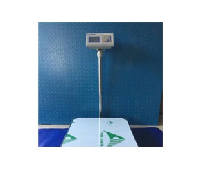 電子臺秤
